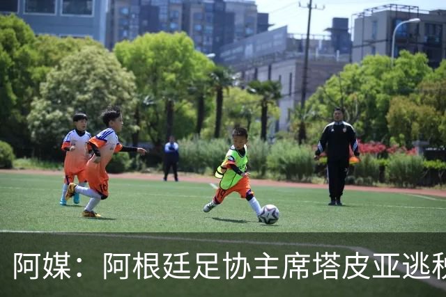 阿媒：阿根廷足协主席塔皮亚逃税上诉被驳回，确认将被起诉
